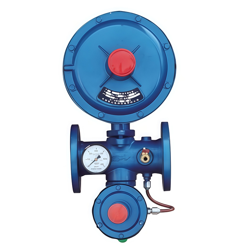 RTZ-*/*31F(Q) Series Gas Regulator