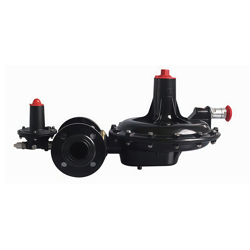 RTZ1-50/0.4(1.6)TQ Gas Regulator