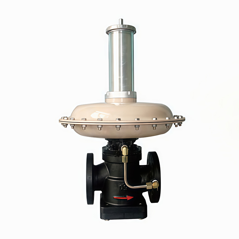 RTZ1-*/0.4A Series Direct Acting Gas Regulator