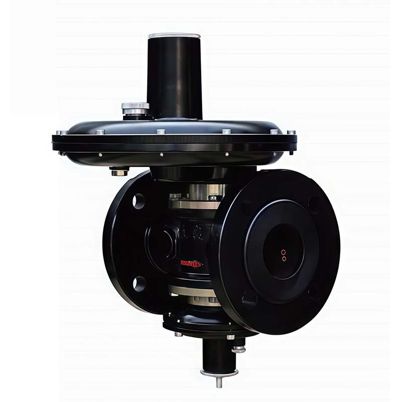 RTZ1-50/0.4EQ Gas Regulator