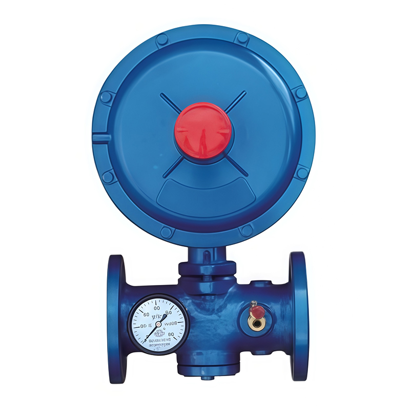 RTZ-*/*31F(Q) Series Gas Regulator