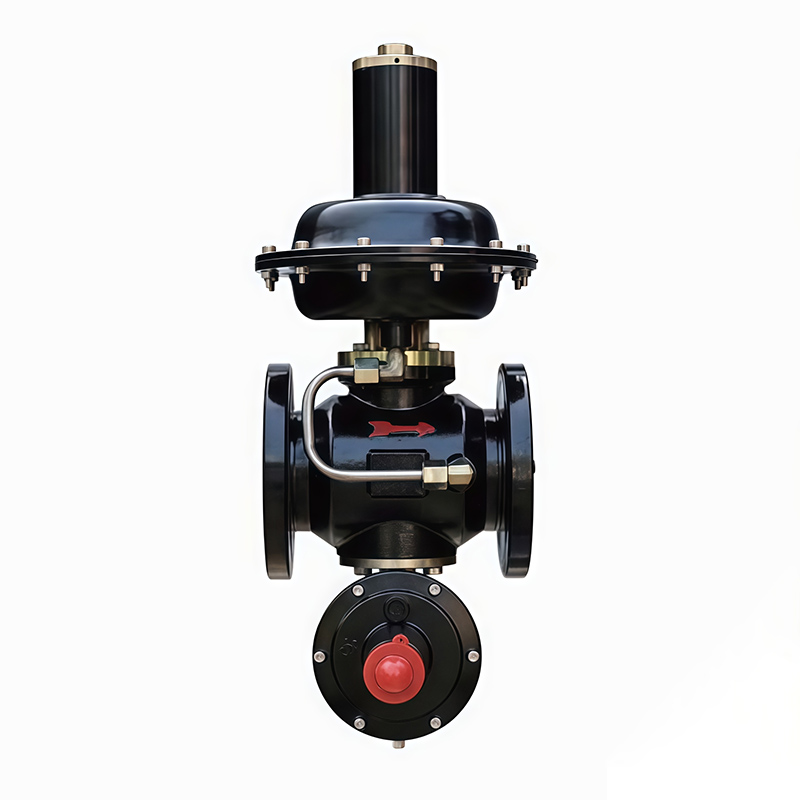 RTZ1-50/0.4/1.6ZGQ Gas Regulator