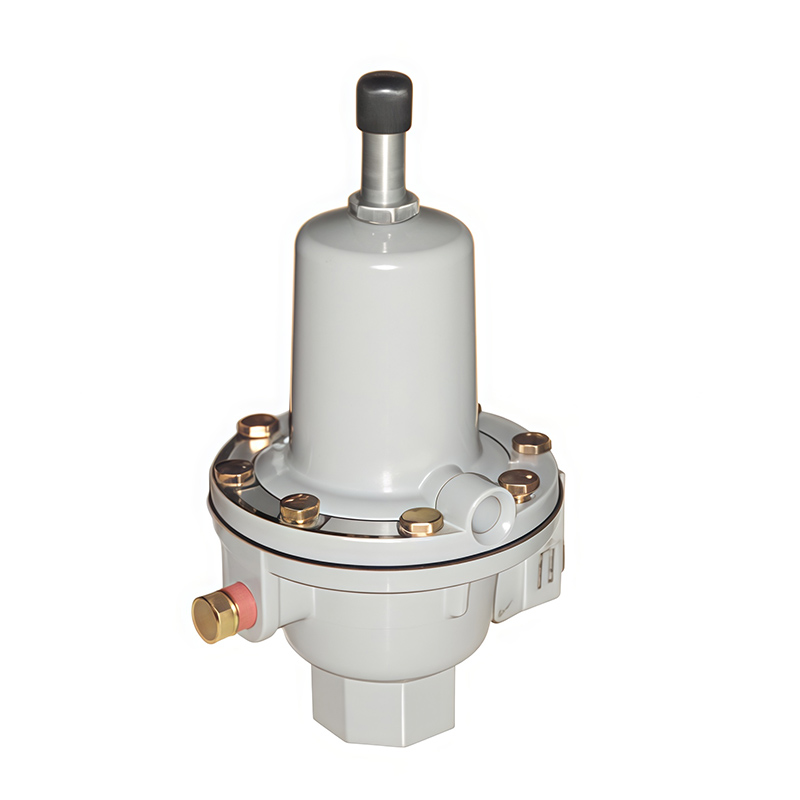 RAF Series Medium and Low Pressure Gas Safety Relief Valve