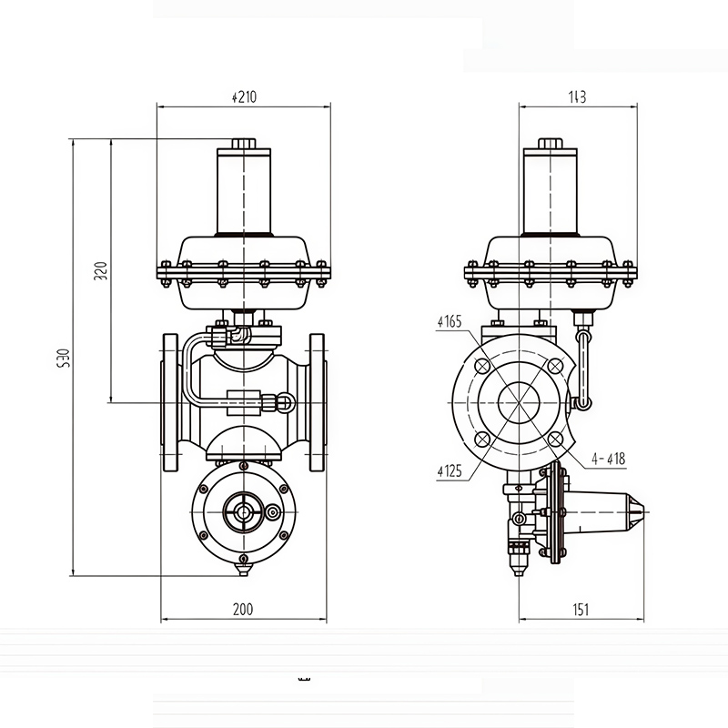 RTZ1-50/0.4/1.6ZGQ Gas Regulator